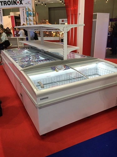 af2af671c4a153cfbcc4c7eb80a25165.webp Бонета морозильная BONVINI BFG 1850 торцевая