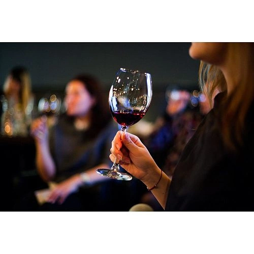 1s70y6tp6izjtvsuc4ih4e2851gpg2qu.webp Шкаф винный CASO WineComfort 66