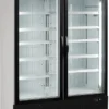 4n53mggypiznw5ekggdyqjg4ewjxr5qe.webp Шкаф морозильный TEFCOLD NF5000G